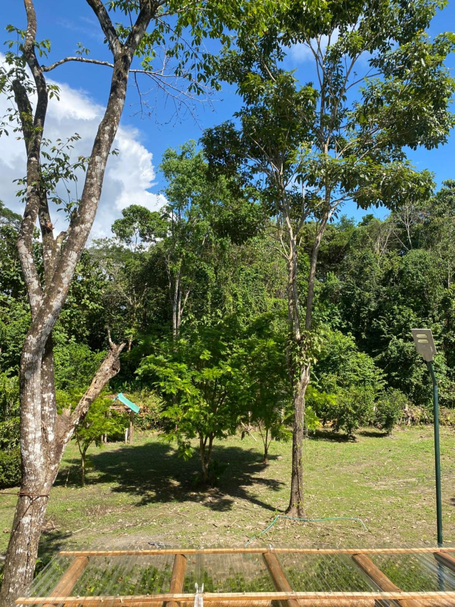 Jazlyn Lodge & Tours Paquera Exterior foto